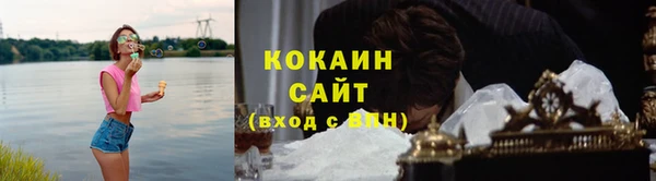 ECSTASY Белокуриха