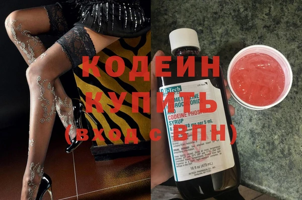 ECSTASY Белокуриха