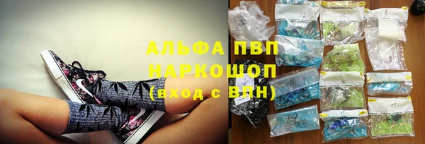 ECSTASY Белокуриха